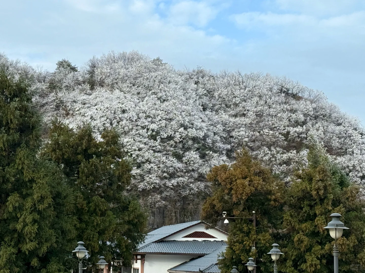 11月18日张家界雾凇