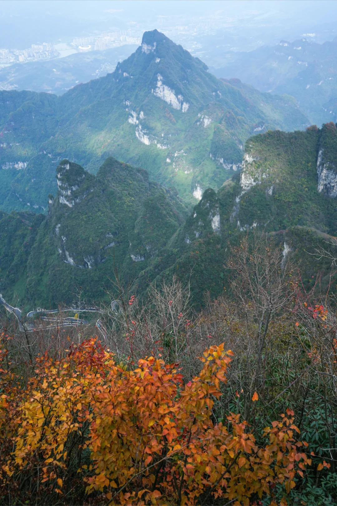 成都高铁2天游张家界！大写的服‼️