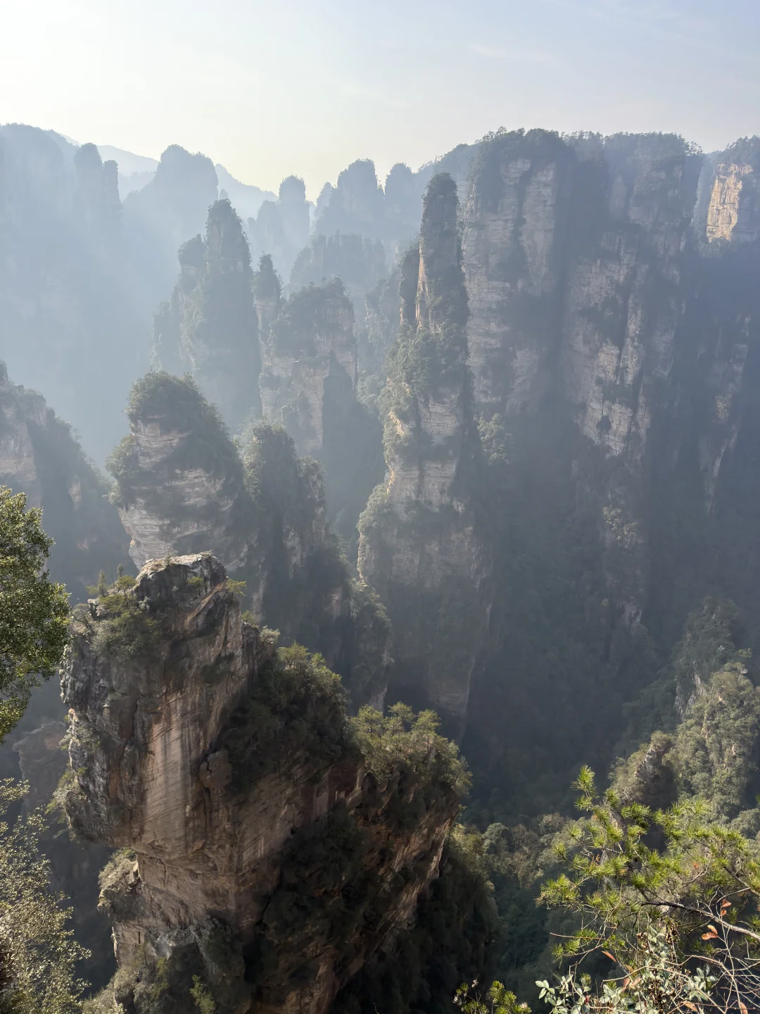 张家界游天门山和森林公园