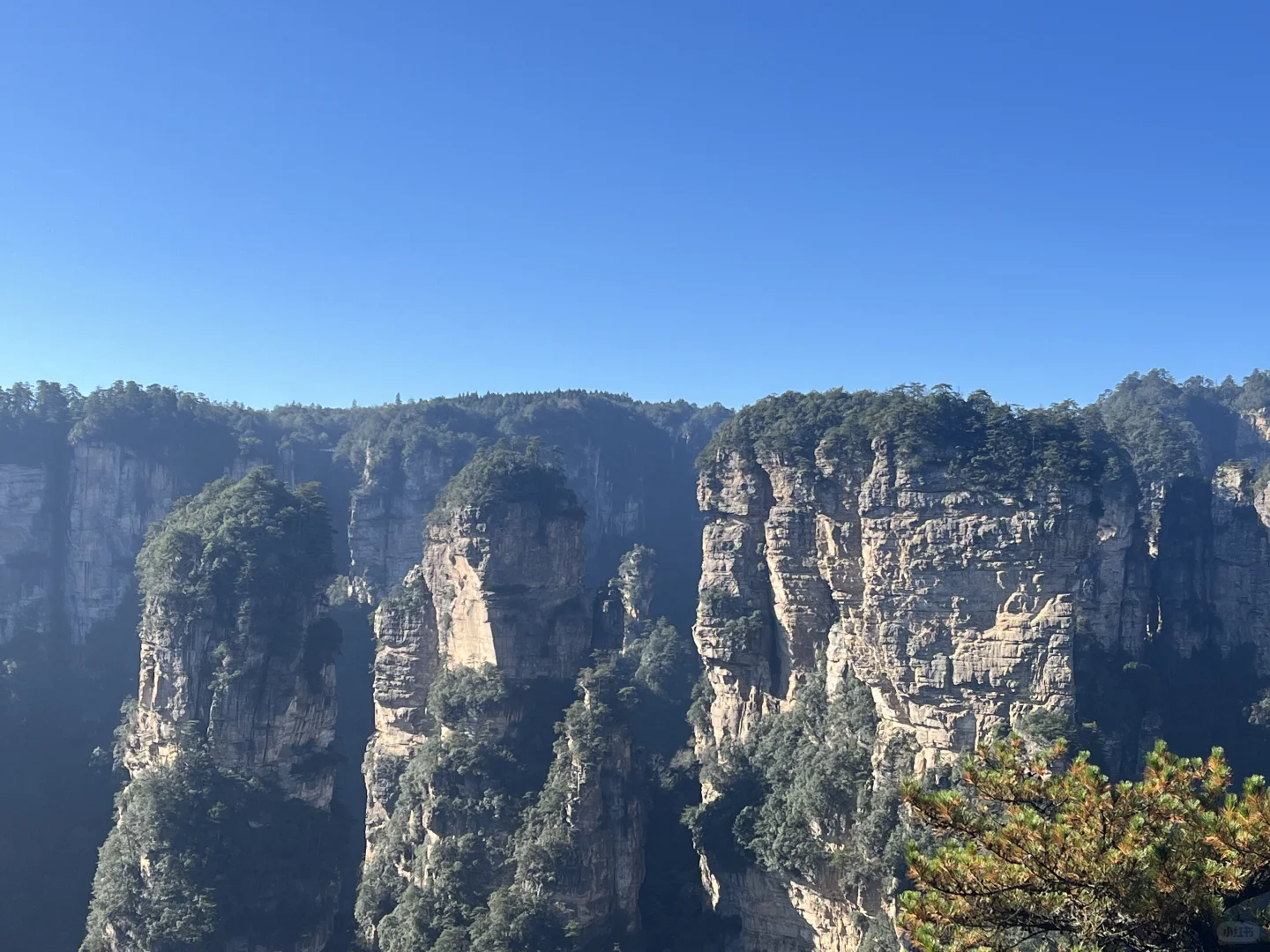 一人2天游玩张家界｜被🐒“抢劫”2次！