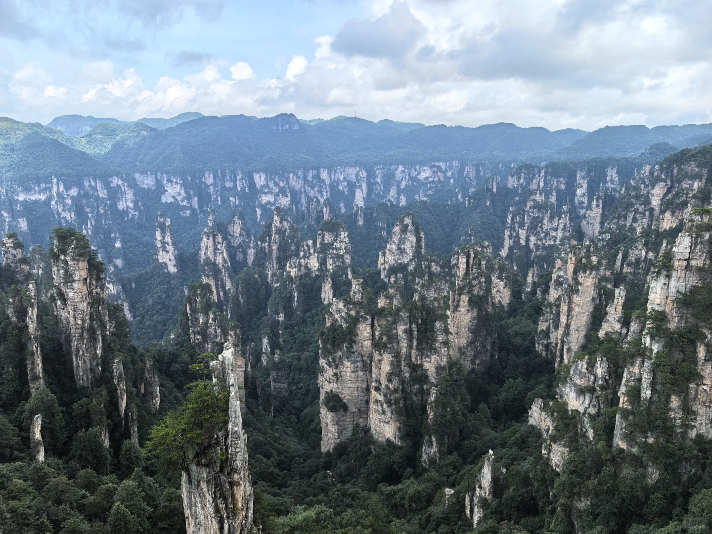 张家界暴雨后,我被自然深深“看见”