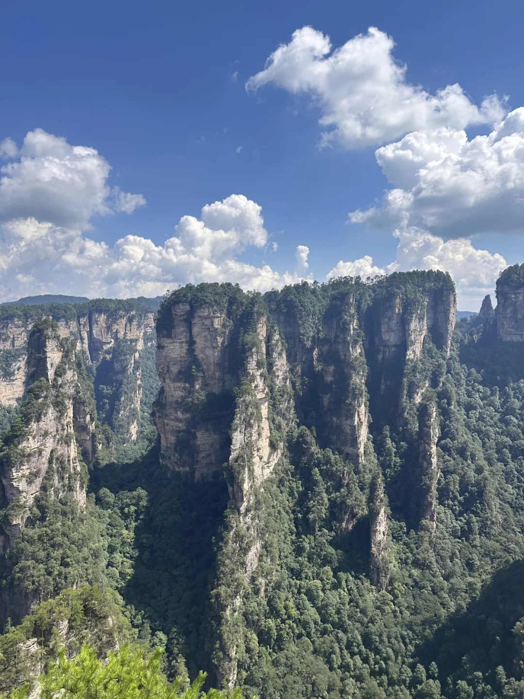 搞清楚这3️⃣个问题再去张家界森林公园❗