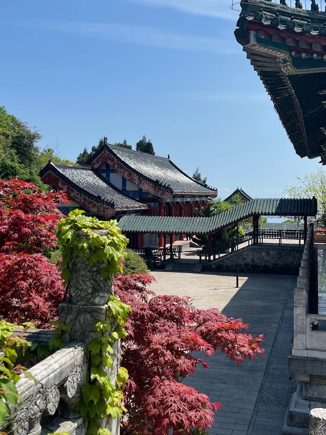 📍张家界｜天门山半日游路线⛰️省力又出片！