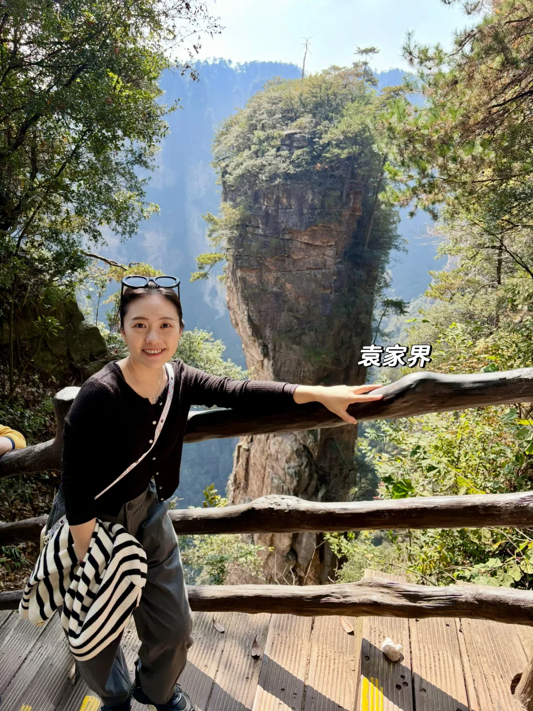 重庆出发周末2日游｜带娃徒步国家森林公园