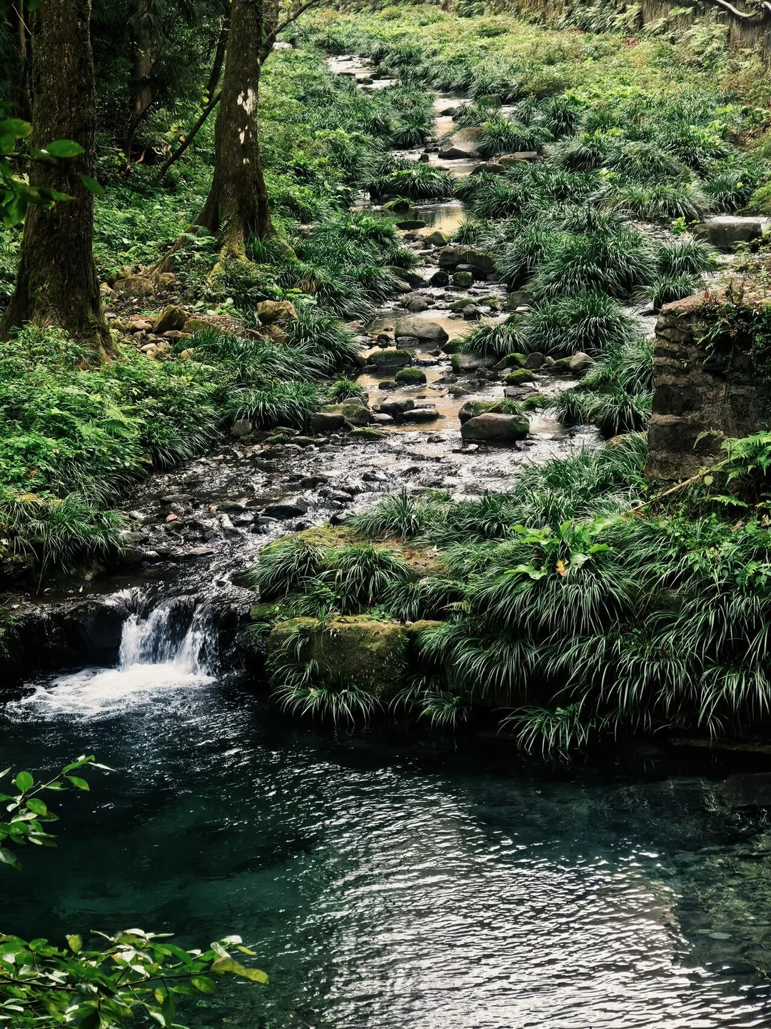 张家界森林公园南门-只看这一篇就够了