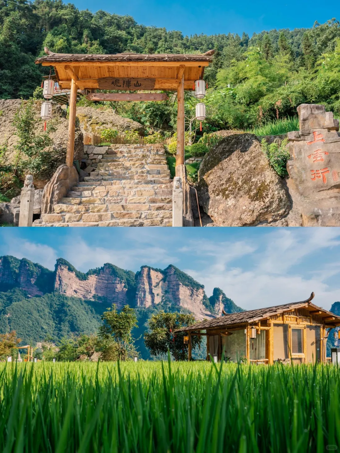 去张家界国家森林公园玩❗结果被坑了一两万