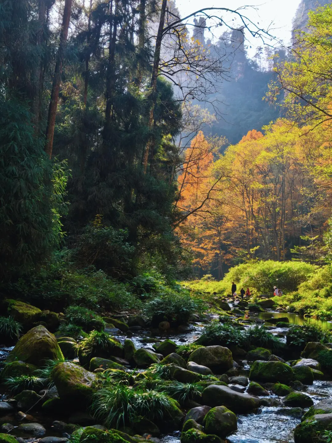 张家界森林公园南门-只看这一篇就够了