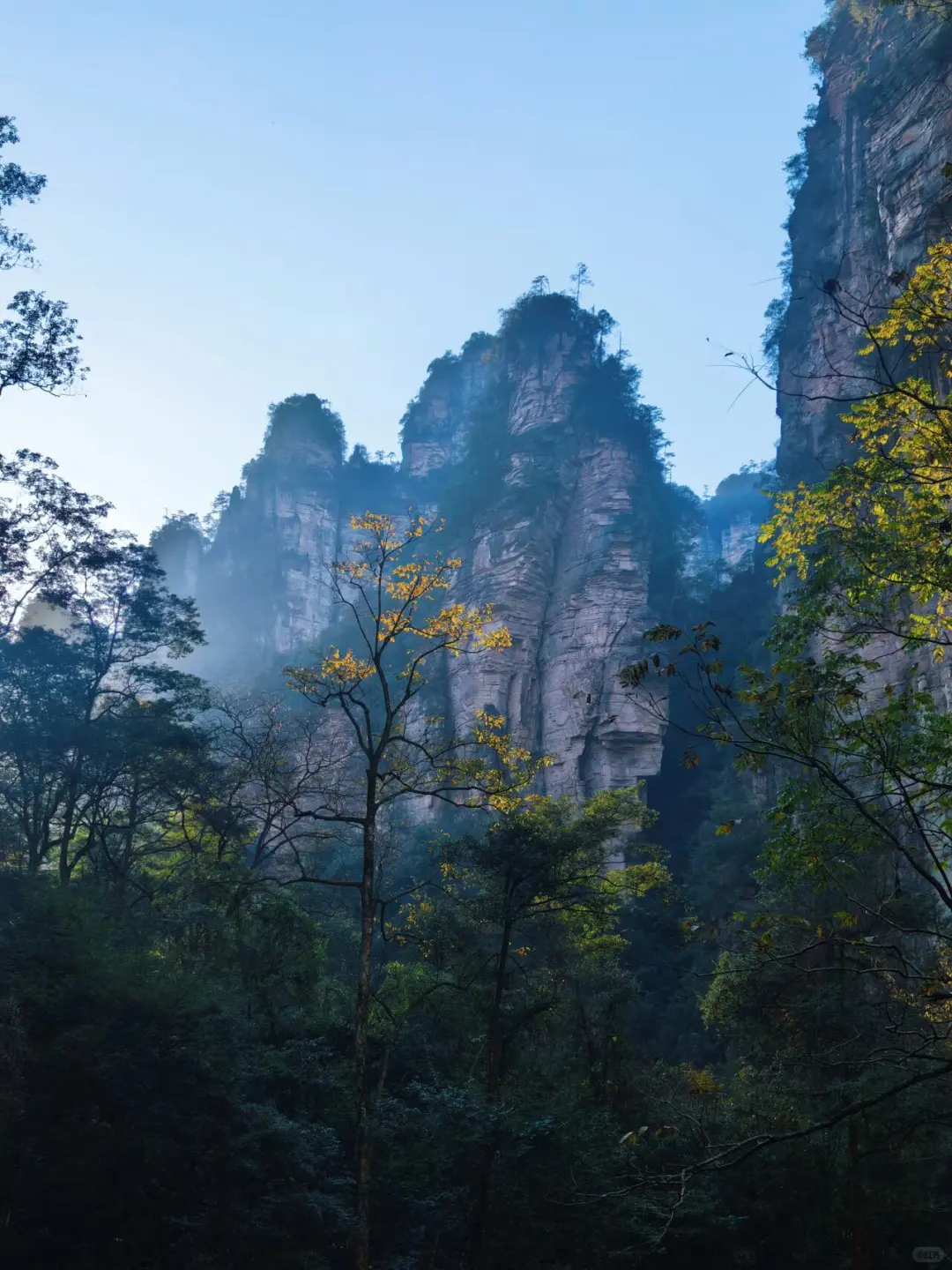 张家界森林公园南门-只看这一篇就够了