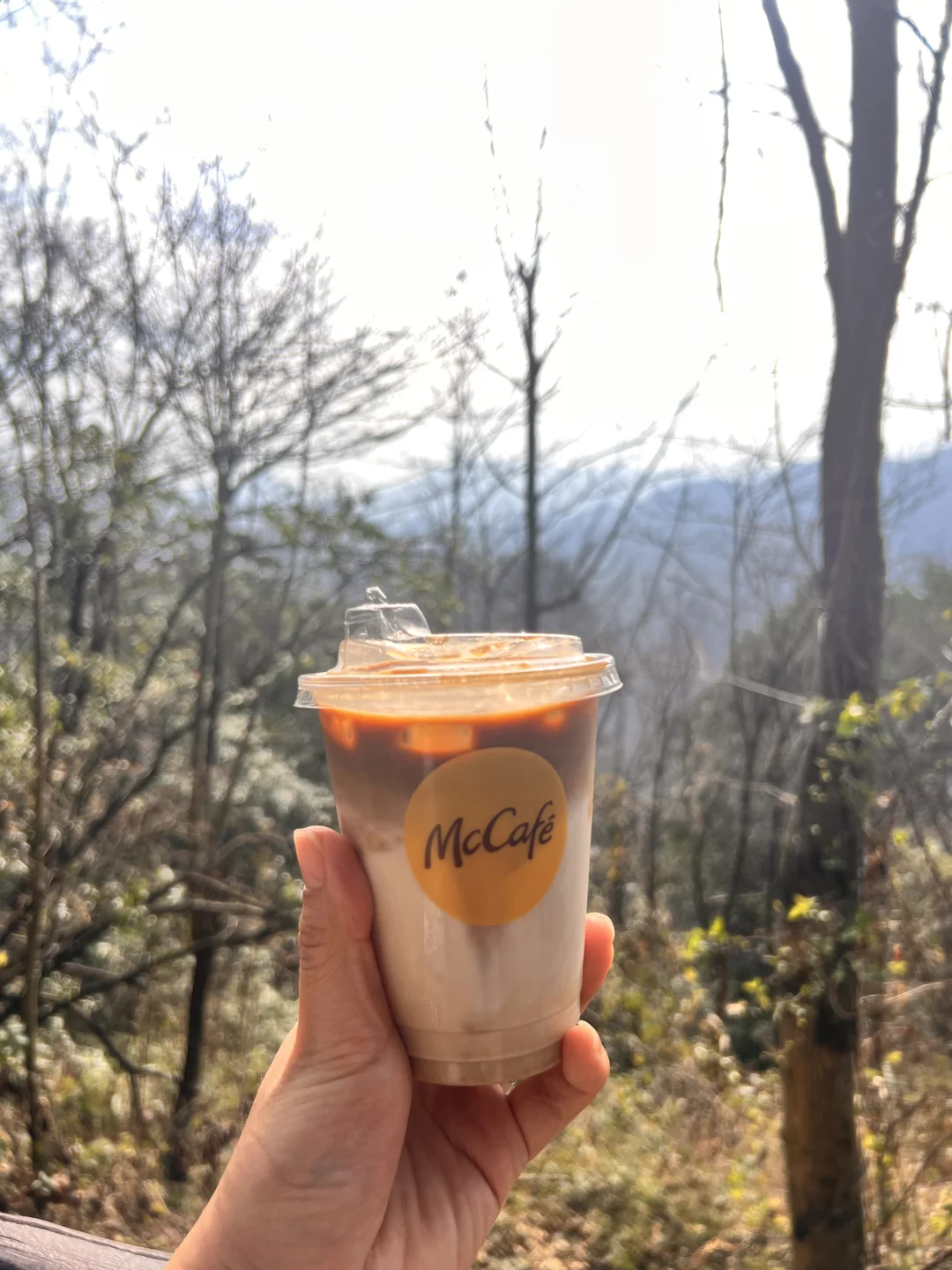 今天在张家界喝燕麦拿铁