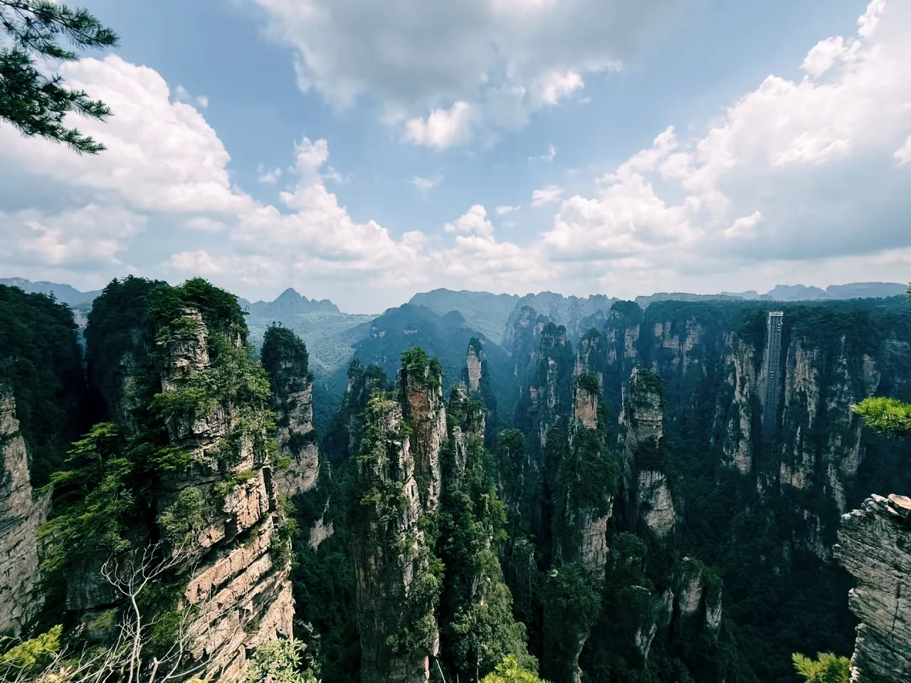 搞清楚这3️⃣个问题再去张家界森林公园❗