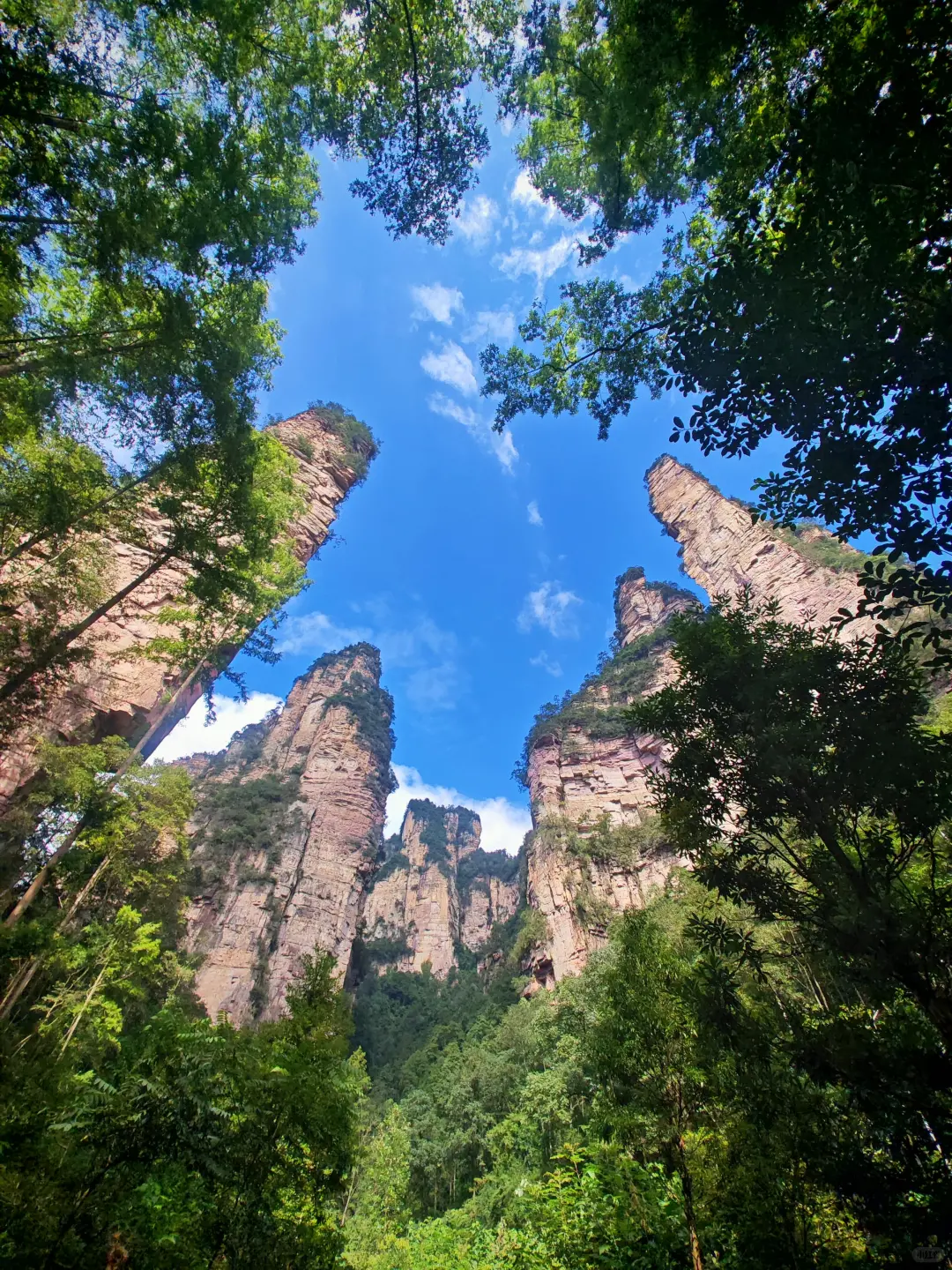 一张大门票，直接坐车到山顶