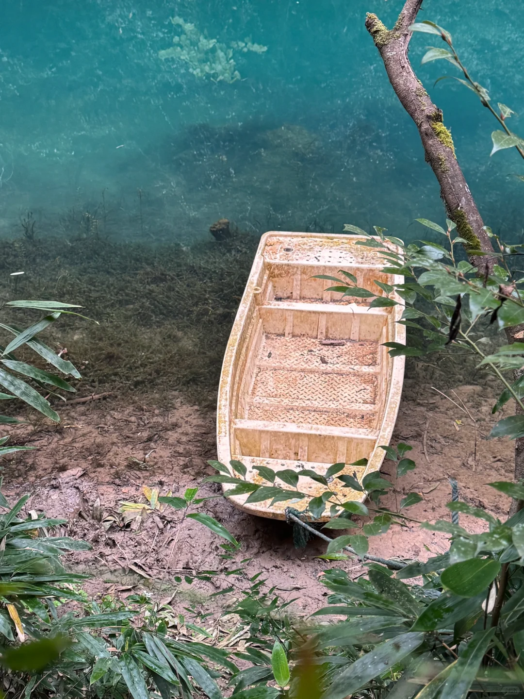 12.12 今天张家界大峡谷，灰蒙蒙的天空