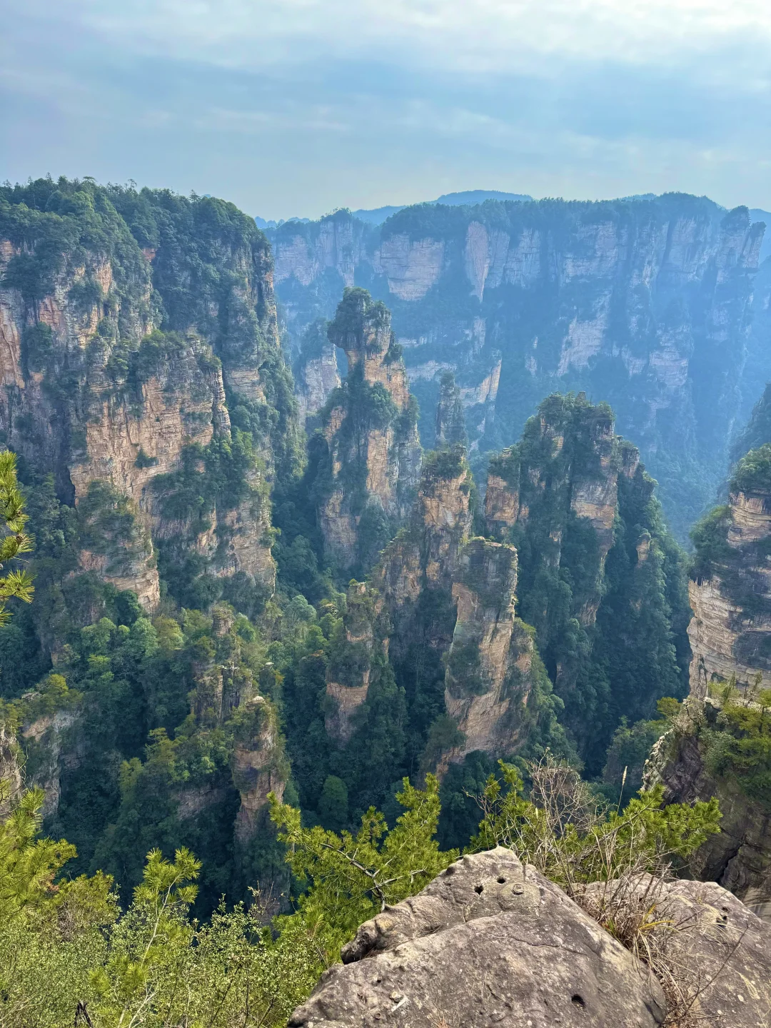 张家界｜📸打卡现实版“阿凡达世界”