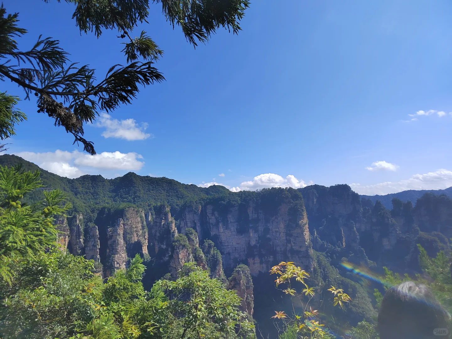 张家界武陵源森林公园两日游之day1
