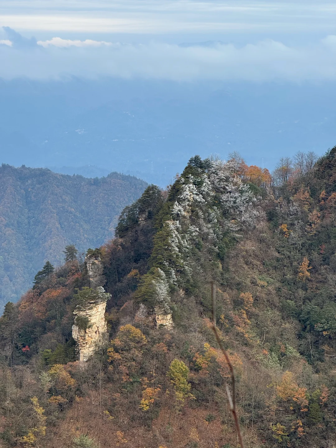 11月18日张家界雾凇