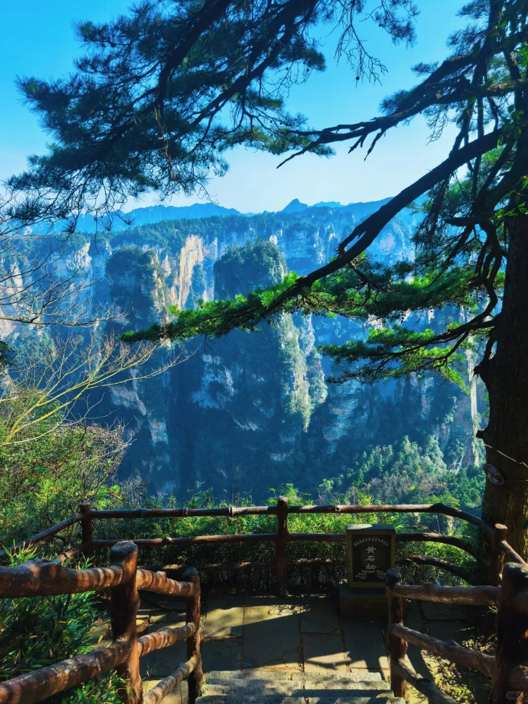 张家界森林公园南门-只看这一篇就够了