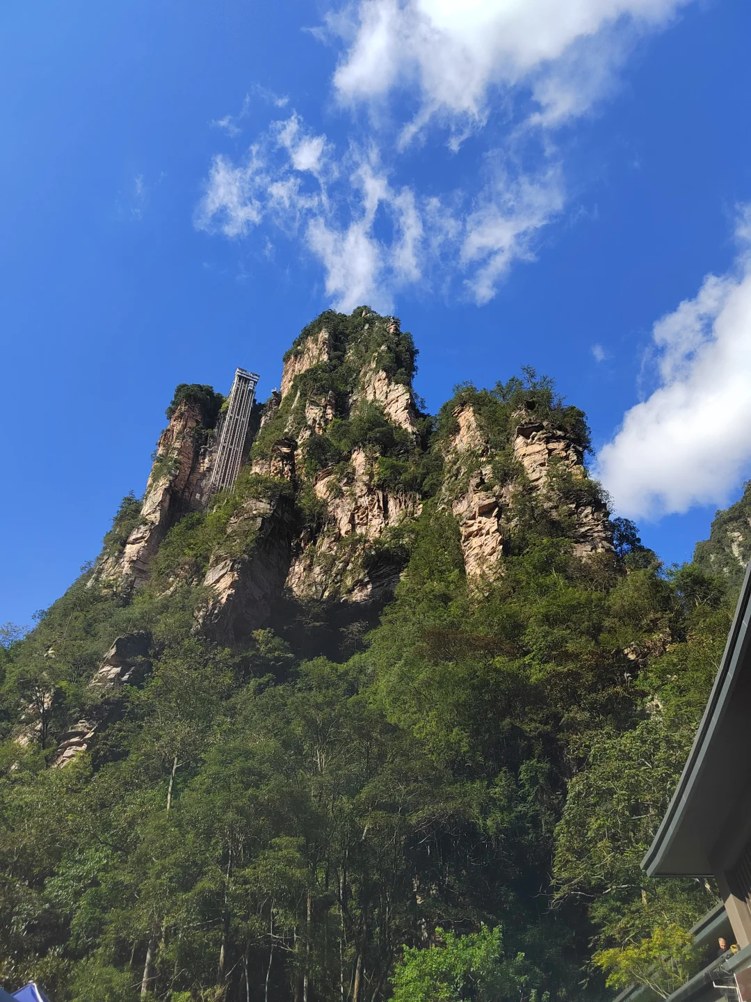 张家界武陵源森林公园两日游之day1