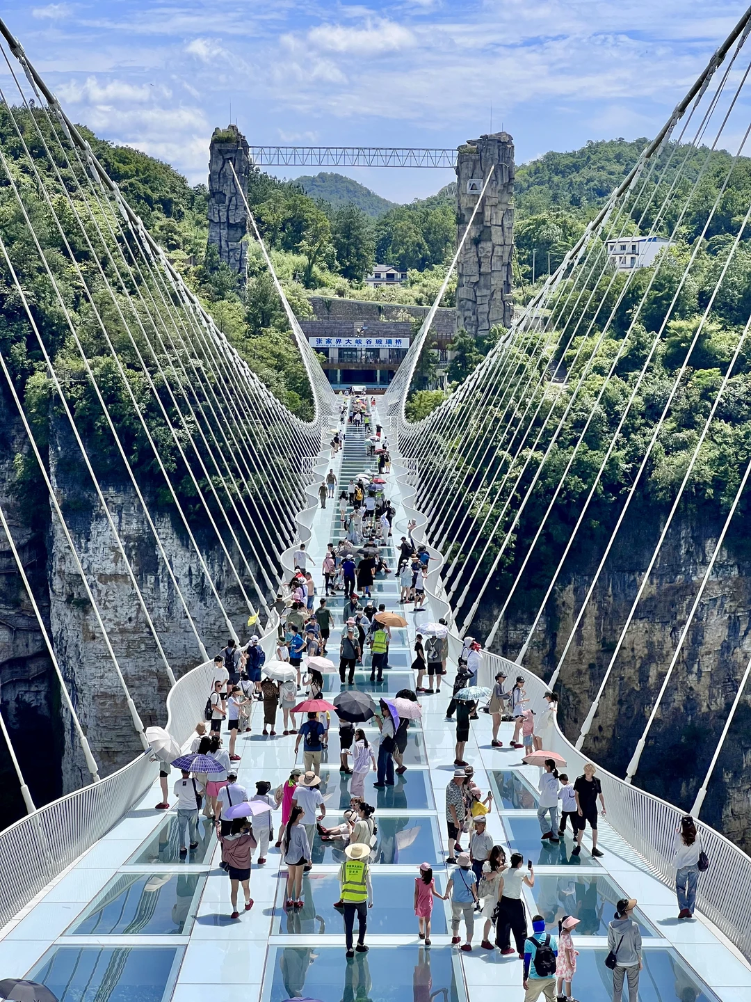 别再问张家界大峡谷值不值得去了！