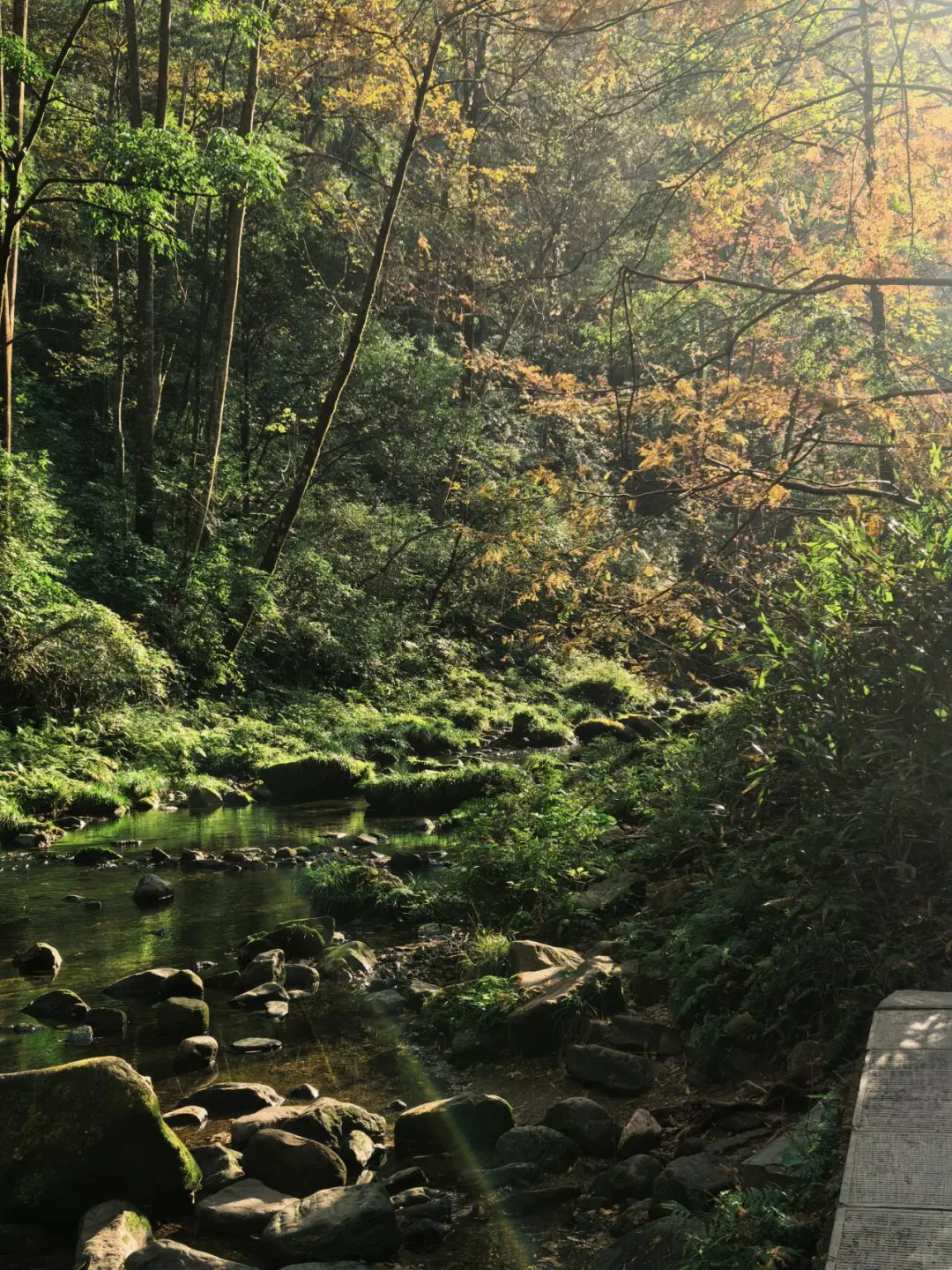 张家界森林公园南门-只看这一篇就够了