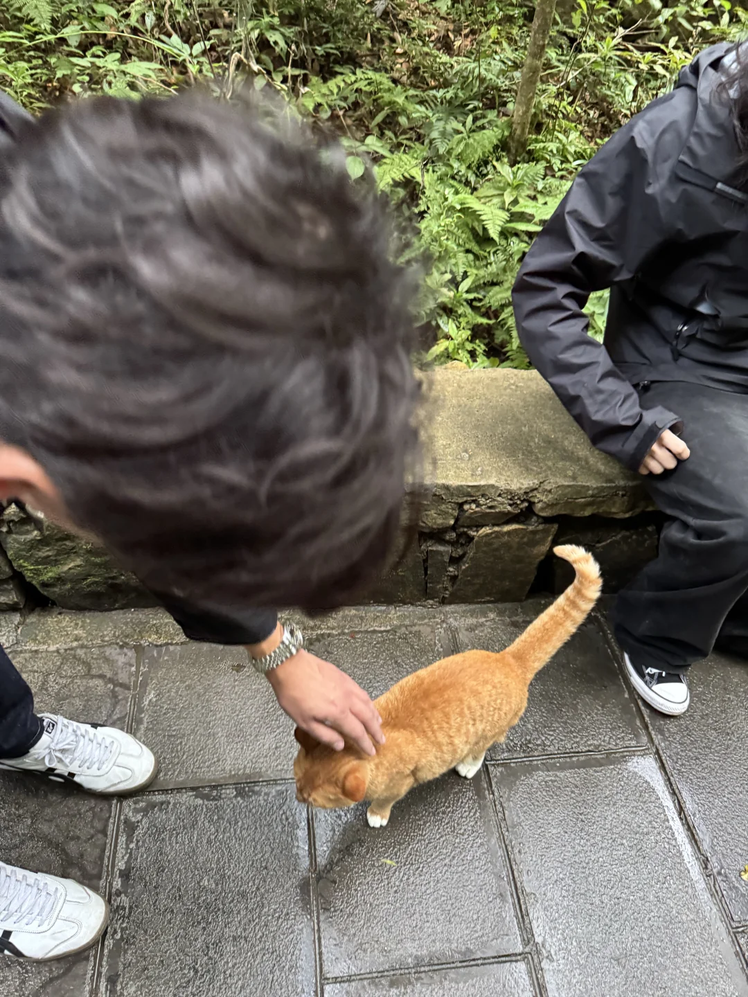 张家界的咪给老外魂都勾走