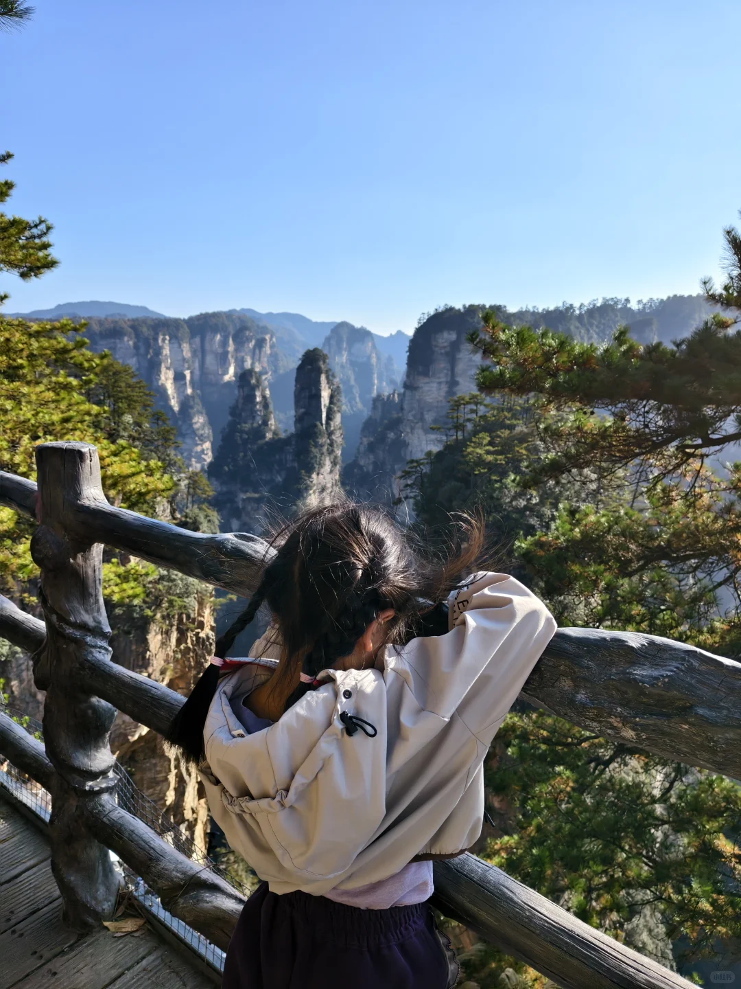 成都高铁2天游张家界！大写的服‼️