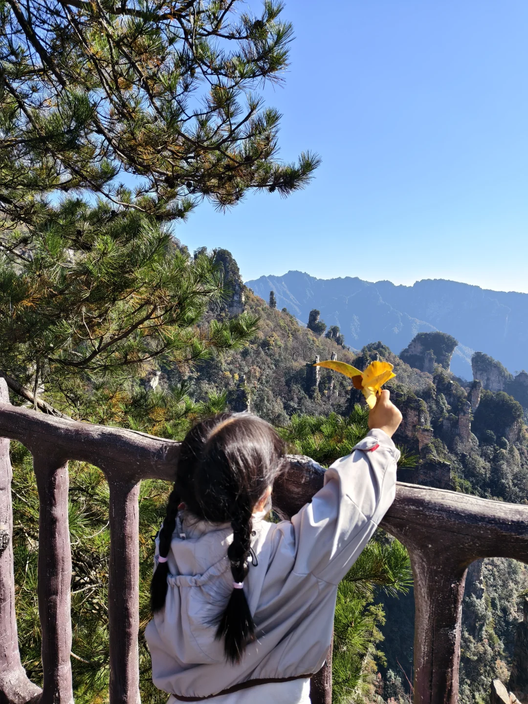 成都高铁2天游张家界！大写的服‼️