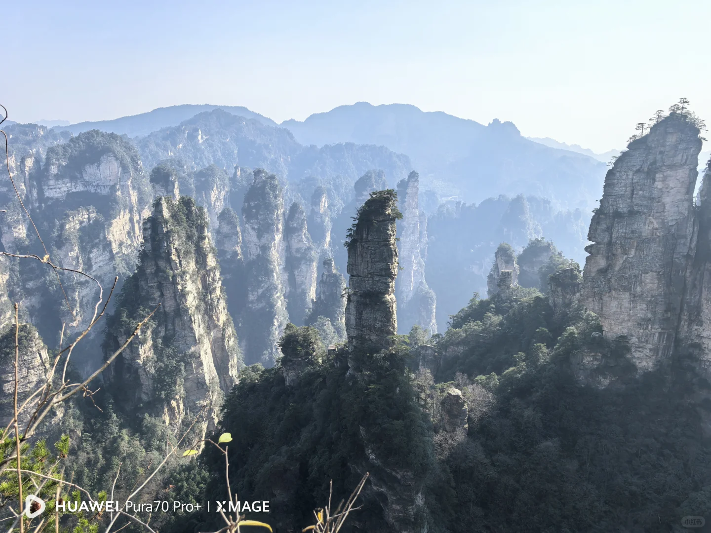 为什么张家界的西方游客比九寨沟多？