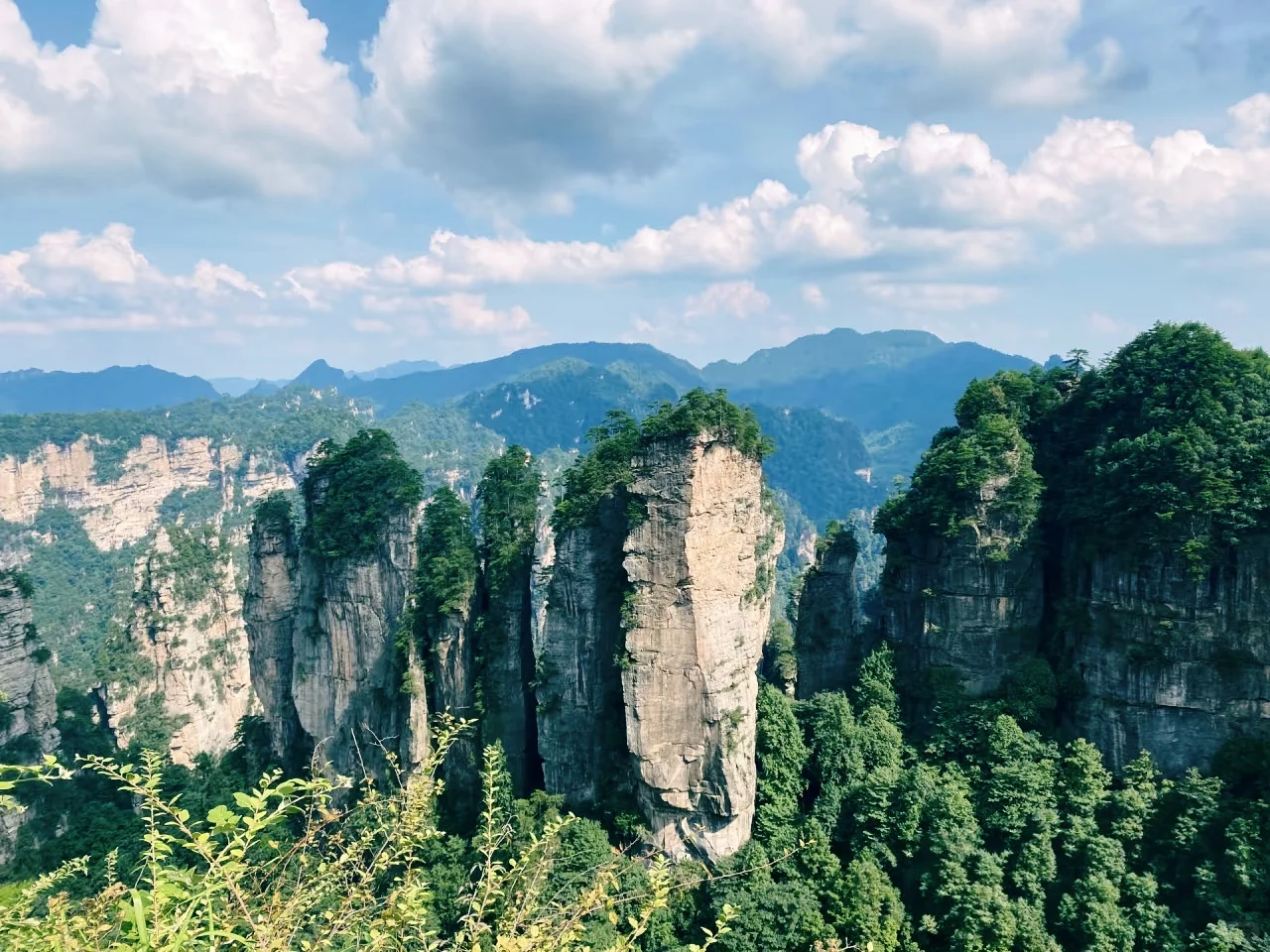 搞清楚这3️⃣个问题再去张家界森林公园❗