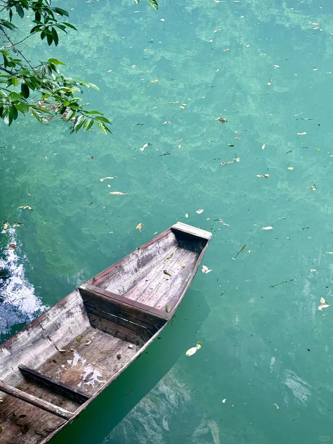 张家界｜大峡谷B线旅游攻略