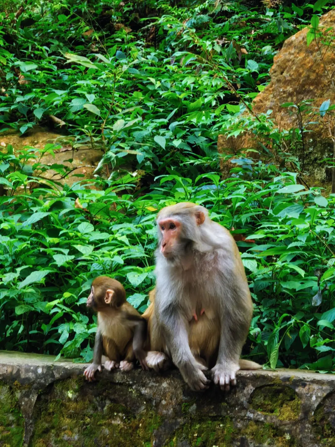 张家界森林公园南门-只看这一篇就够了