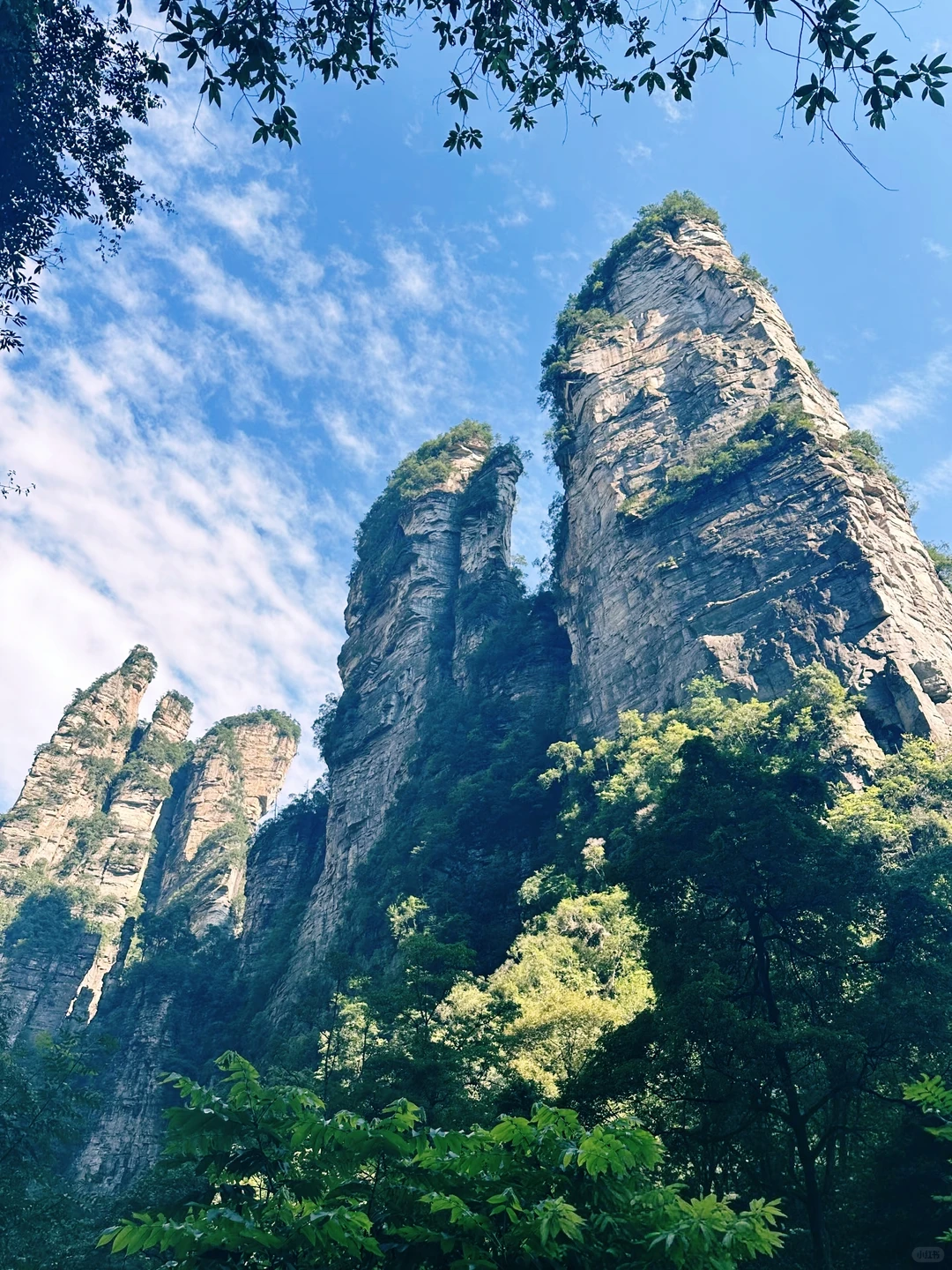 搞清楚这3️⃣个问题再去张家界森林公园❗