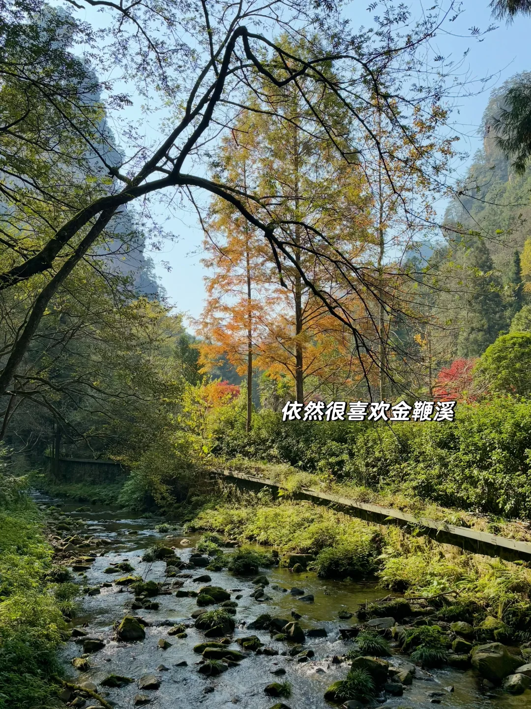 重庆出发周末2日游｜带娃徒步国家森林公园