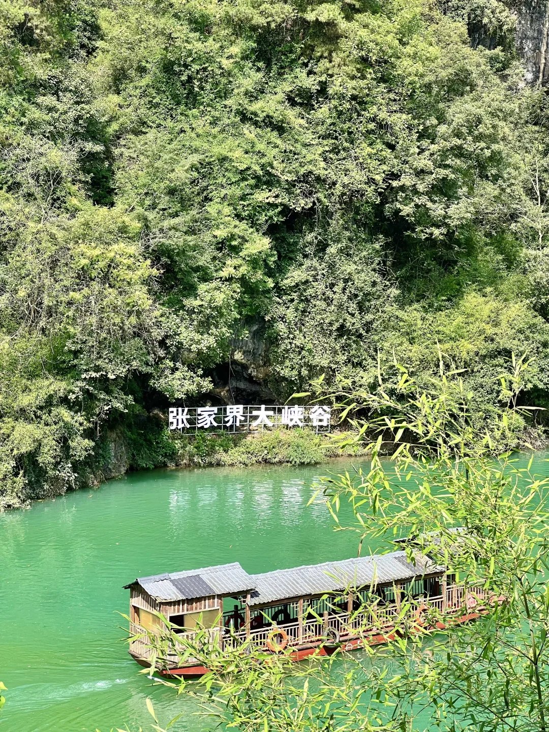 别再问张家界大峡谷值不值得去了！