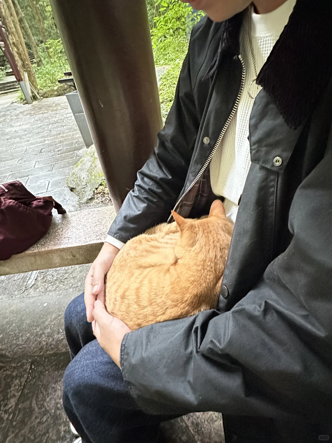 张家界的咪给老外魂都勾走