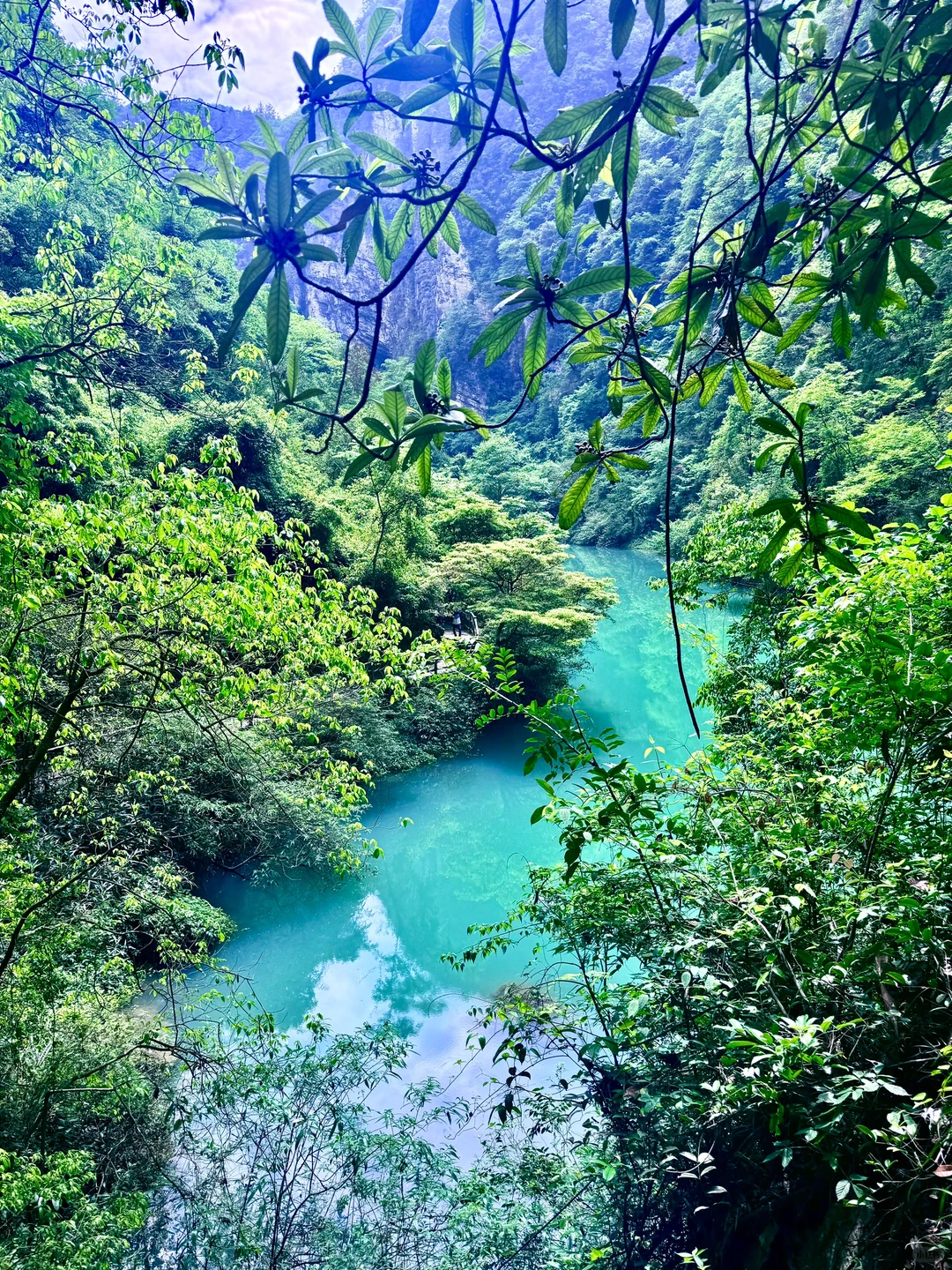 张家界｜大峡谷B线旅游攻略