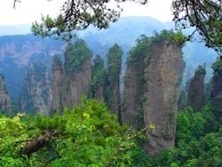 张家界带爸妈2日游全攻略｜4500字血泪总结✨