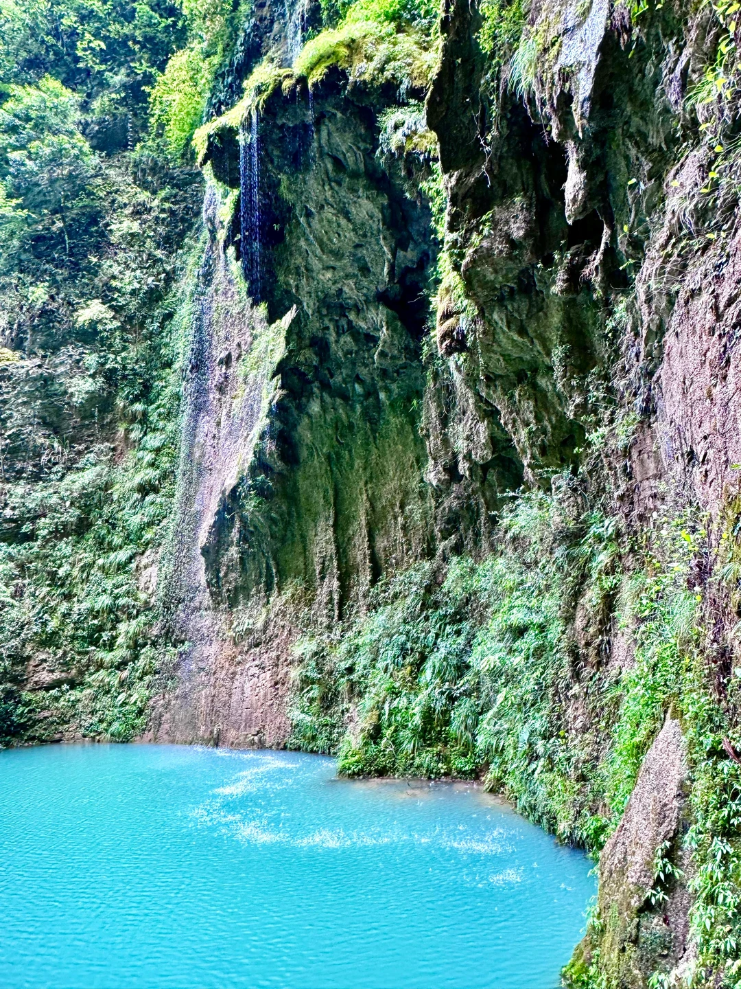 张家界｜大峡谷B线旅游攻略