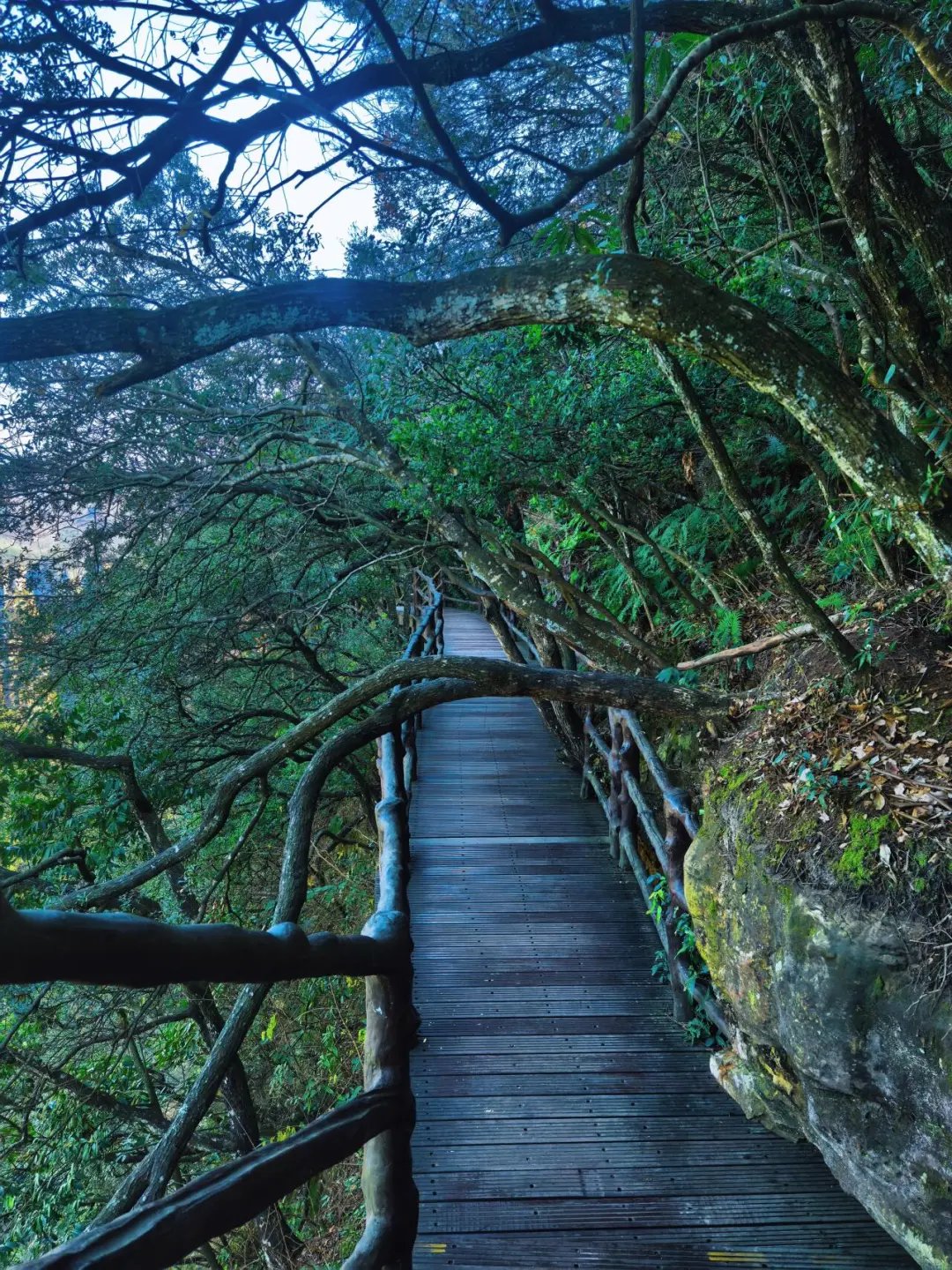 张家界森林公园南门-只看这一篇就够了