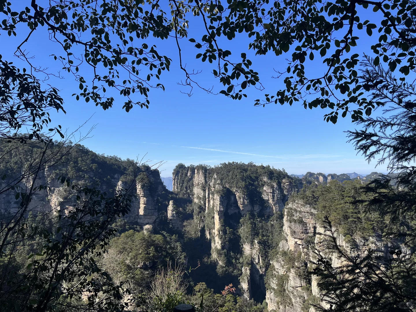 一人2天游玩张家界｜被🐒“抢劫”2次！