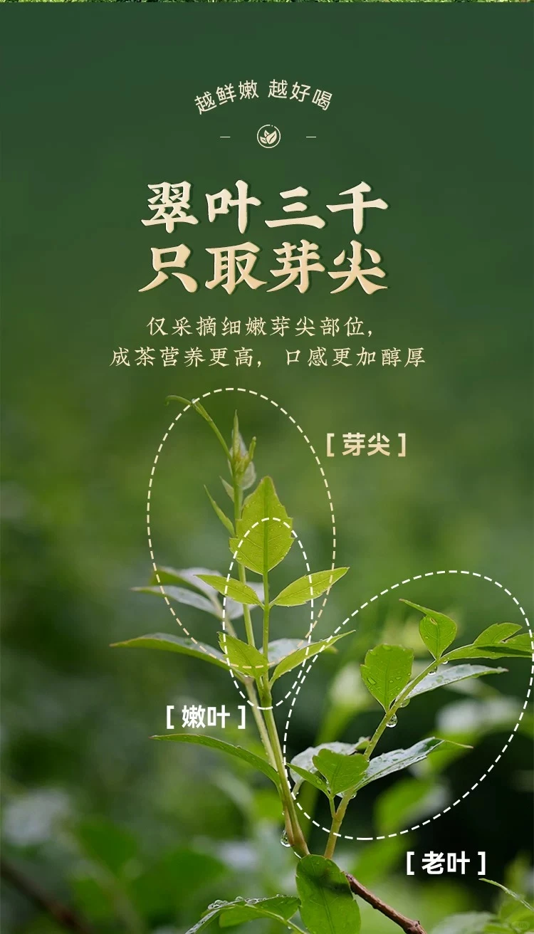 张家界4000找中控了！