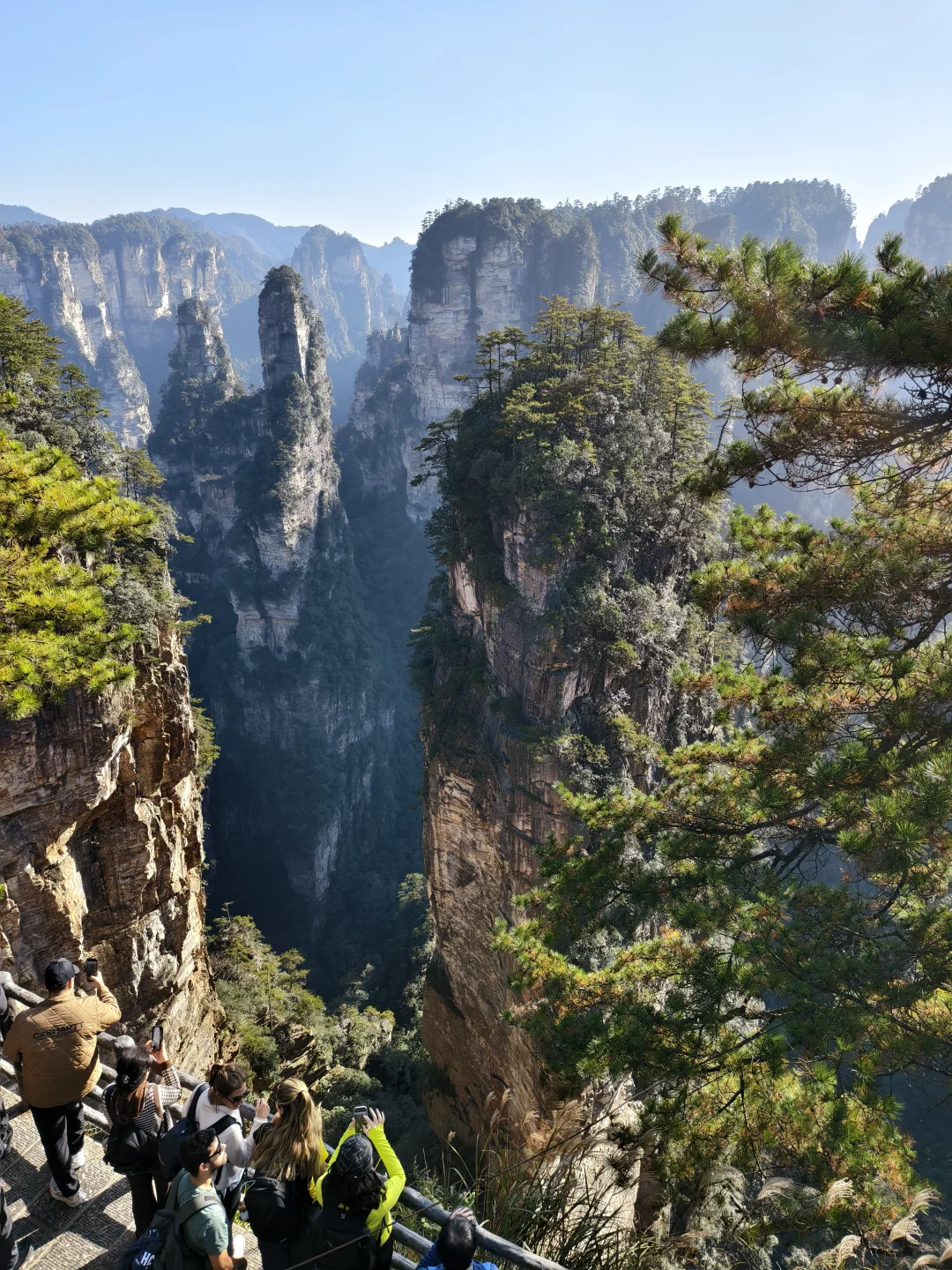 成都高铁2天游张家界！大写的服‼️