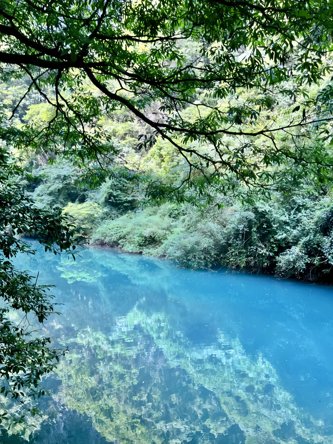 别再问张家界大峡谷值不值得去了！