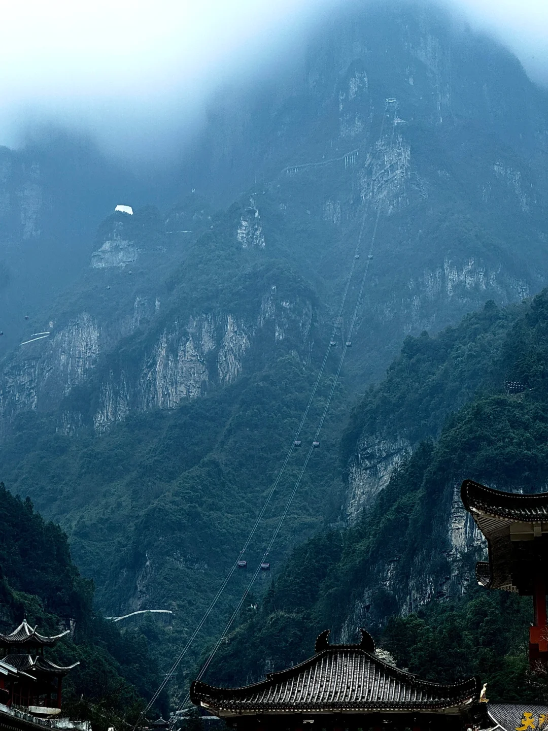 张家界天门山，原来带孩子应该这样玩🚠⛰️