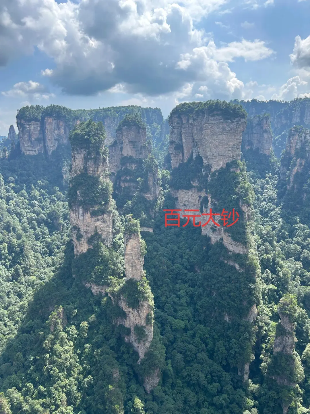 一张大门票，直接坐车到山顶