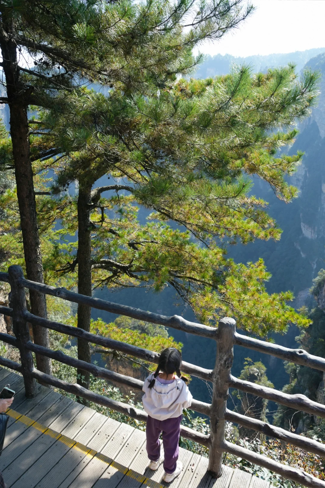 成都高铁2天游张家界！大写的服‼️