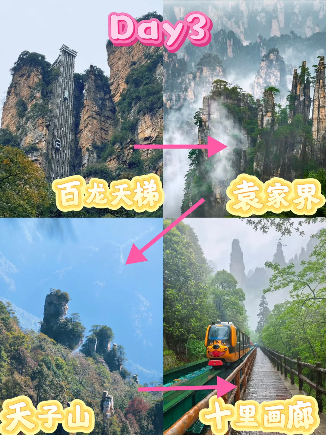 ‼️‼️张家界保姆级攻略来啦！