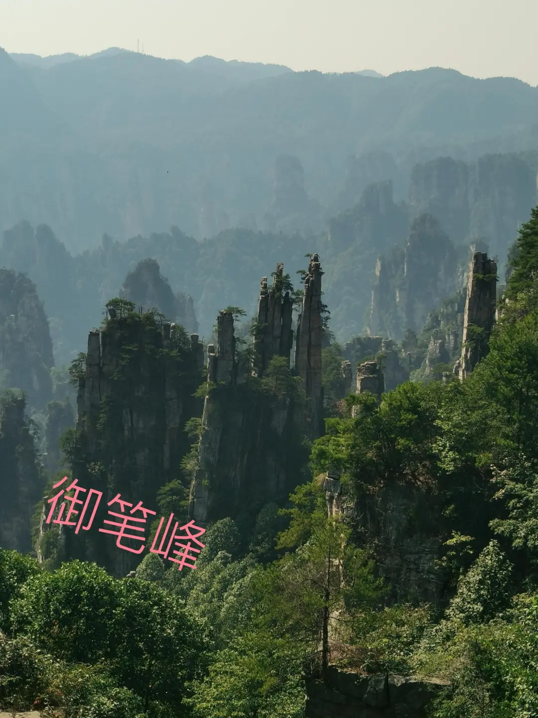 一张大门票，直接坐车到山顶