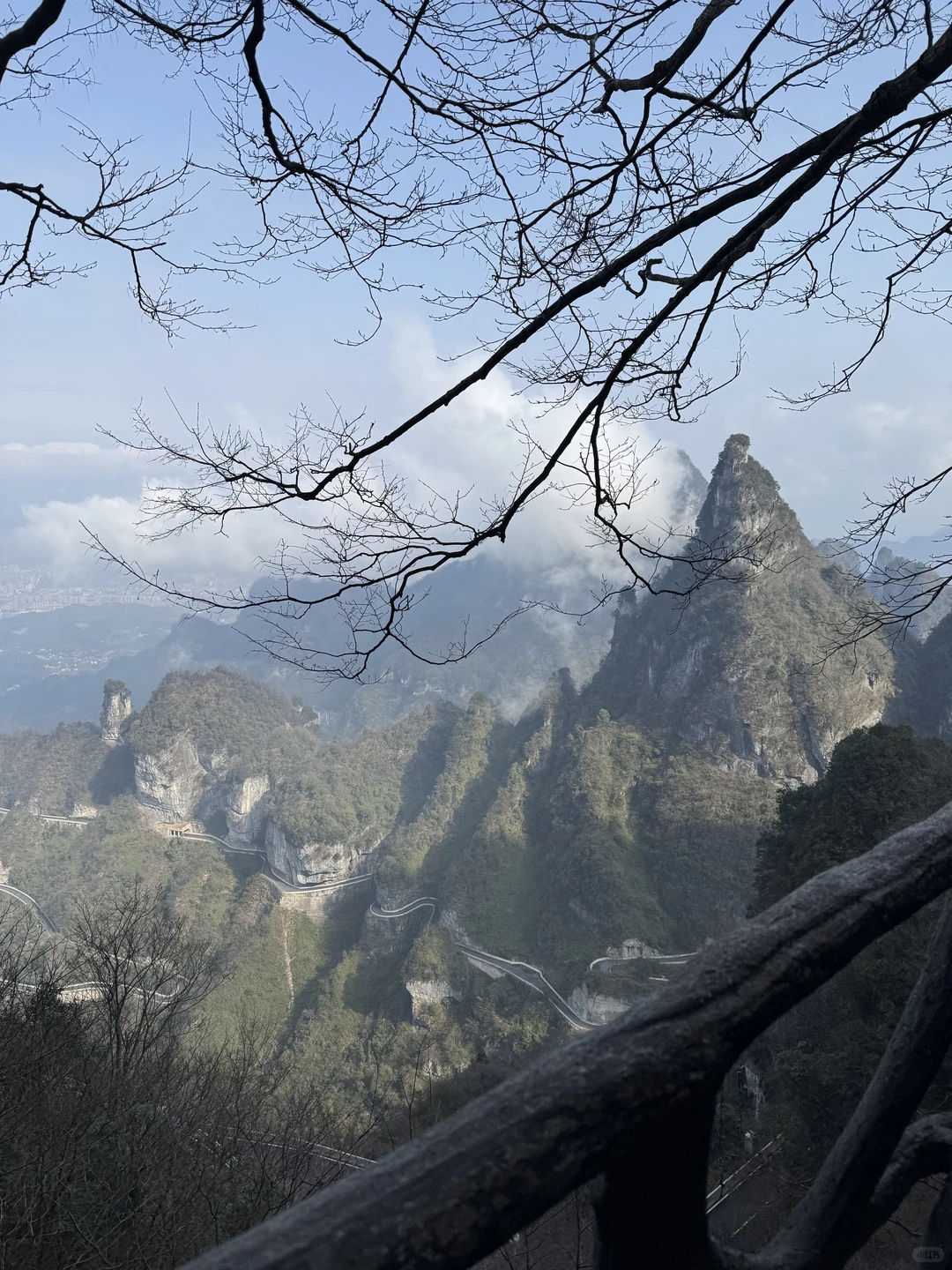 12.13｜张家界🚡看到雾淞版