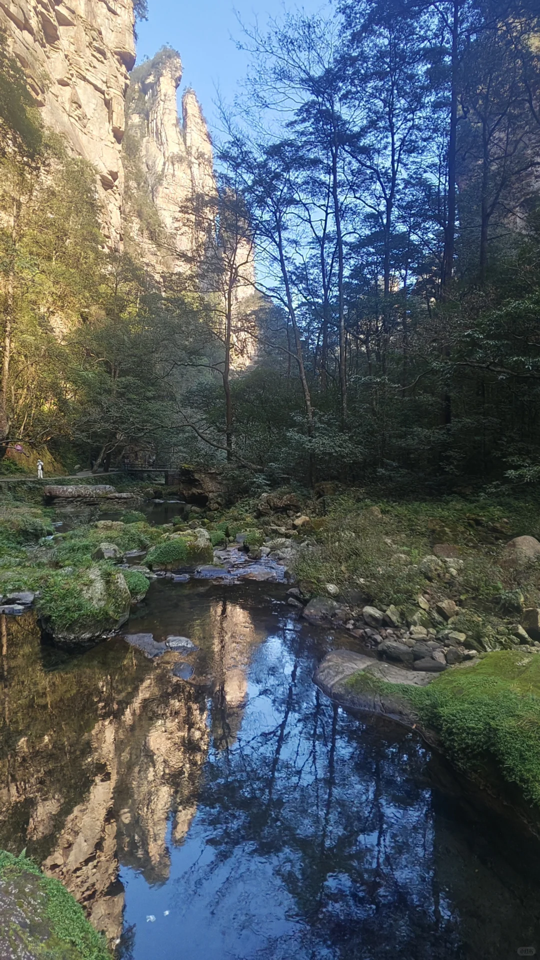 张家界旅游攻略