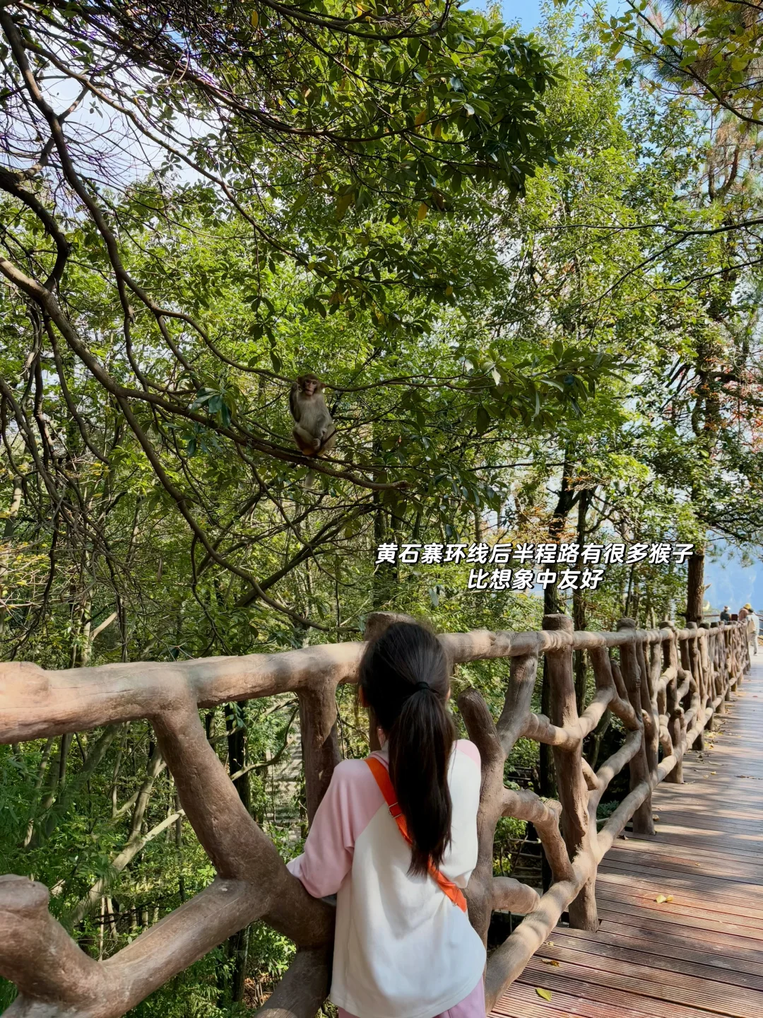 重庆出发周末2日游｜带娃徒步国家森林公园